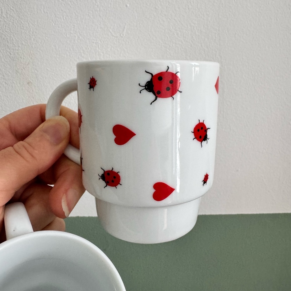 Pair of Ladybug and Heart Patterned Mug